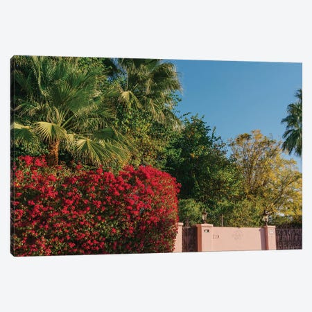 Palm Springs Pink Canvas Print #BTY1137} by Bethany Young Canvas Art
