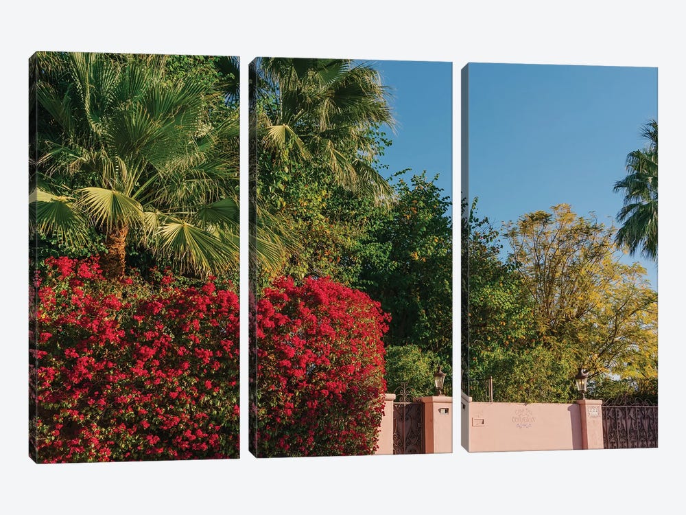 Palm Springs Pink by Bethany Young 3-piece Canvas Wall Art