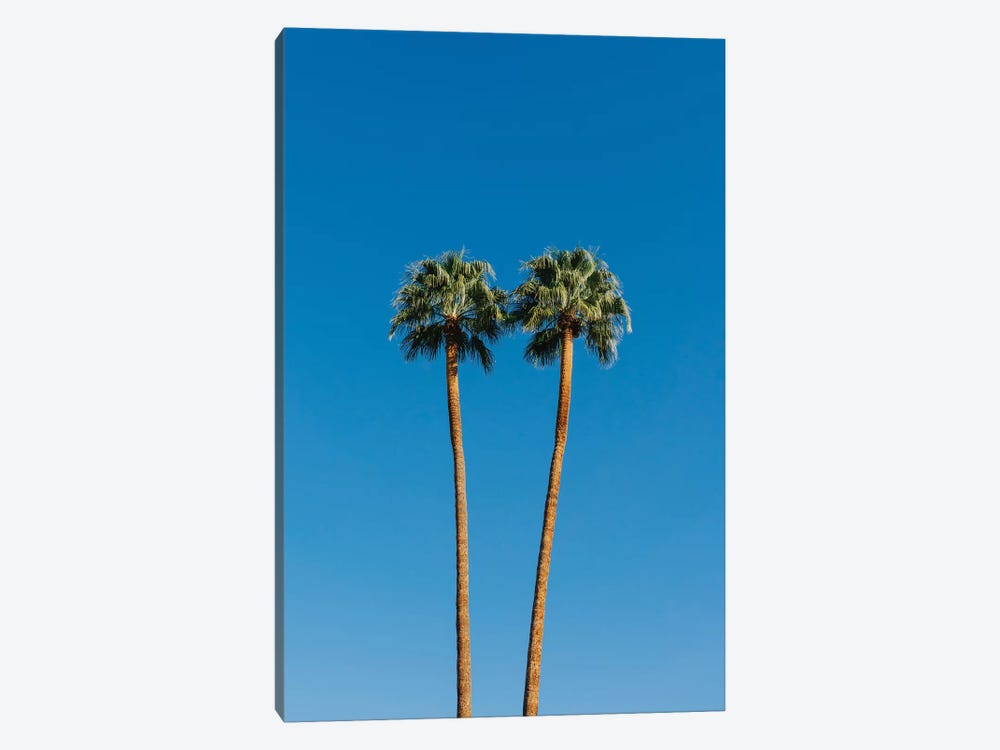Palm Springs Twin Palms by Bethany Young 1-piece Canvas Artwork