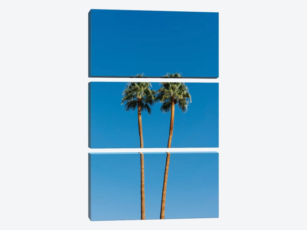 Palm Springs Twin Palms by Bethany Young 3-piece Canvas Artwork
