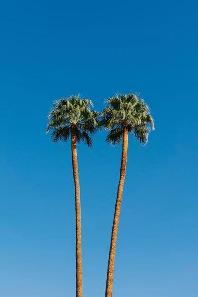 Palm Springs: Palm Springs Twin Palms by Bethany Young