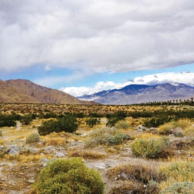 Palm Springs View by Bethany Young framed wall art