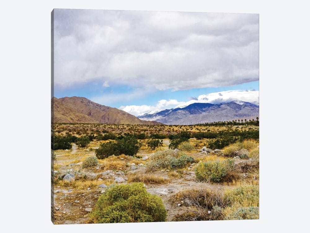 Palm Springs View by Bethany Young 1-piece Art Print