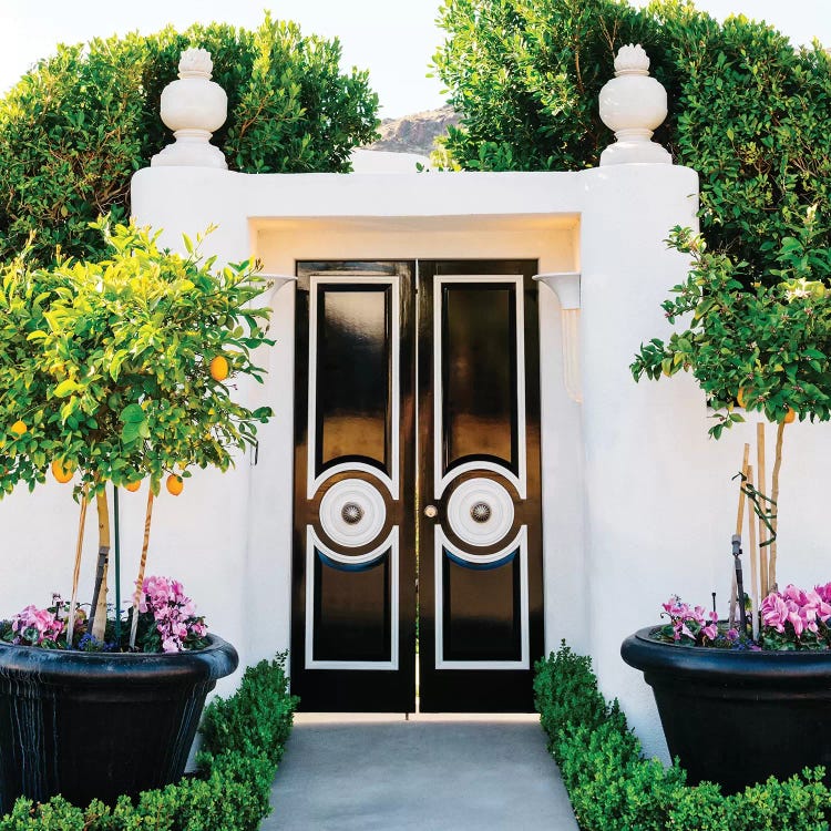 Palm Springs Door