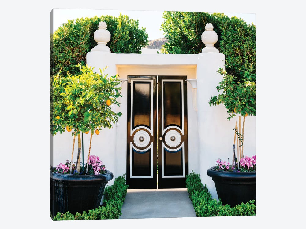Palm Springs Door by Bethany Young 1-piece Canvas Artwork