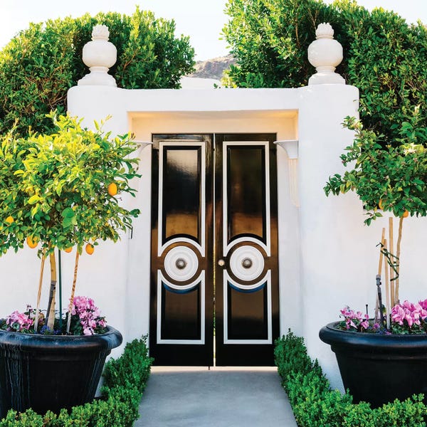 Gates: Palm Springs Door by Bethany Young