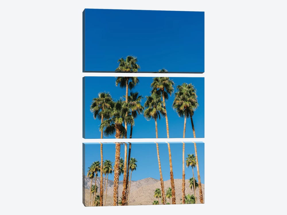 Palm Springs Palms IV by Bethany Young 3-piece Art Print