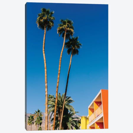 Palm Springs Vibes V Canvas Print #BTY1154} by Bethany Young Canvas Wall Art