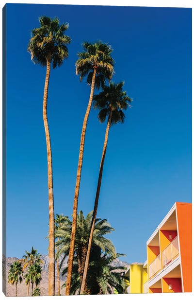 Palm Springs Vibes V Canvas Art Print - Bethany Young