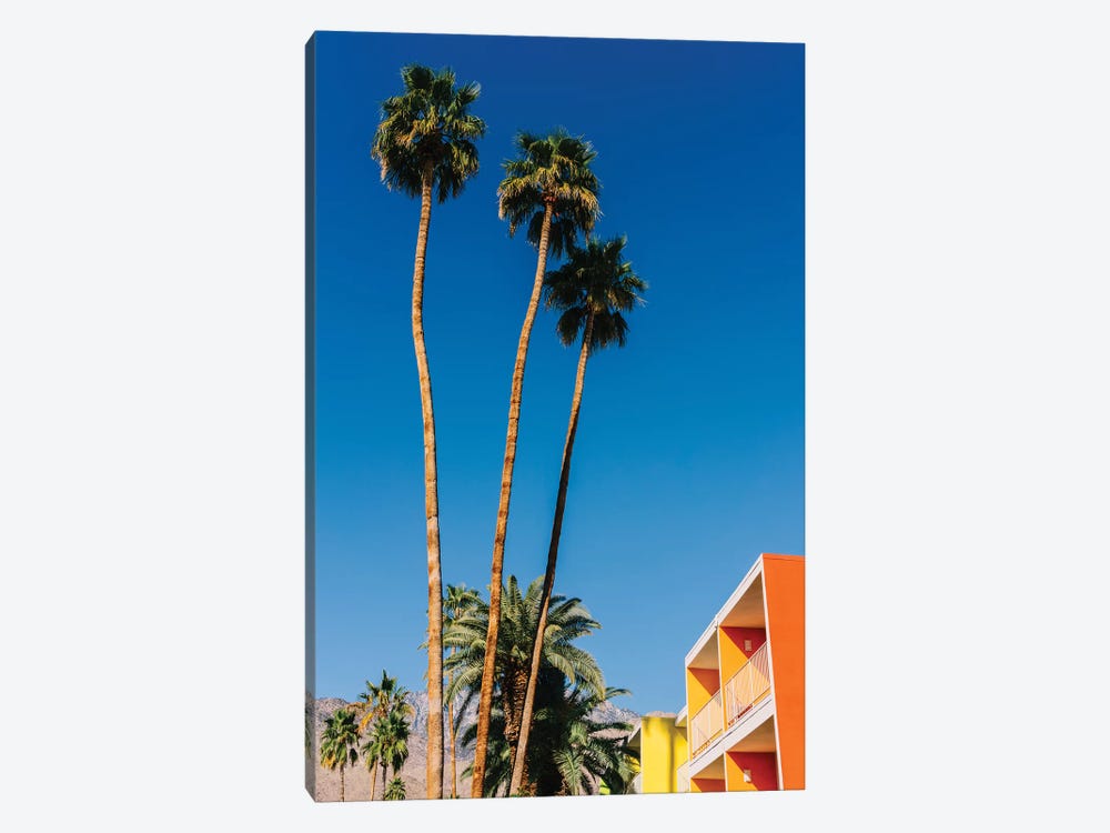 Palm Springs Vibes V by Bethany Young 1-piece Canvas Print