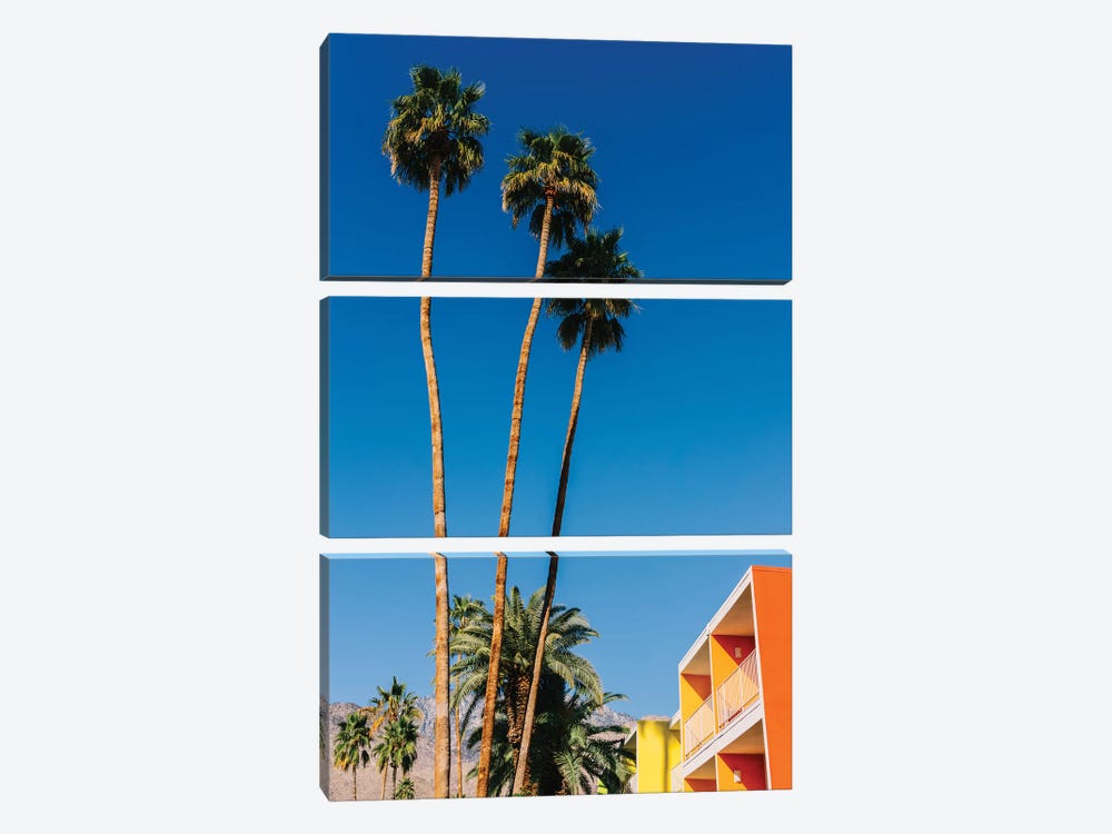 Palm Springs Vibes V by Bethany Young 3-piece Art Print