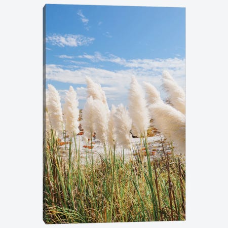 California Beach Day III Canvas Print #BTY1155} by Bethany Young Canvas Art