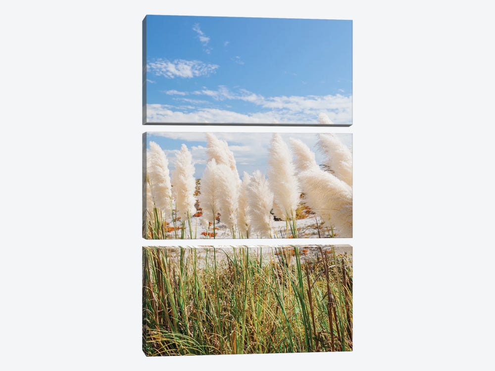 California Beach Day III by Bethany Young 3-piece Canvas Wall Art