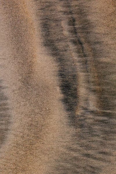 San Diego: Coronado Gold Sand by Bethany Young