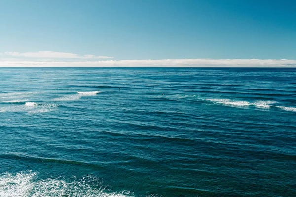 San Diego: Sunset Cliffs Surfers IV by Bethany Young