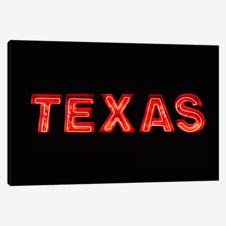 Texas Neon Canvas Print #BTY1192} by Bethany Young Canvas Print