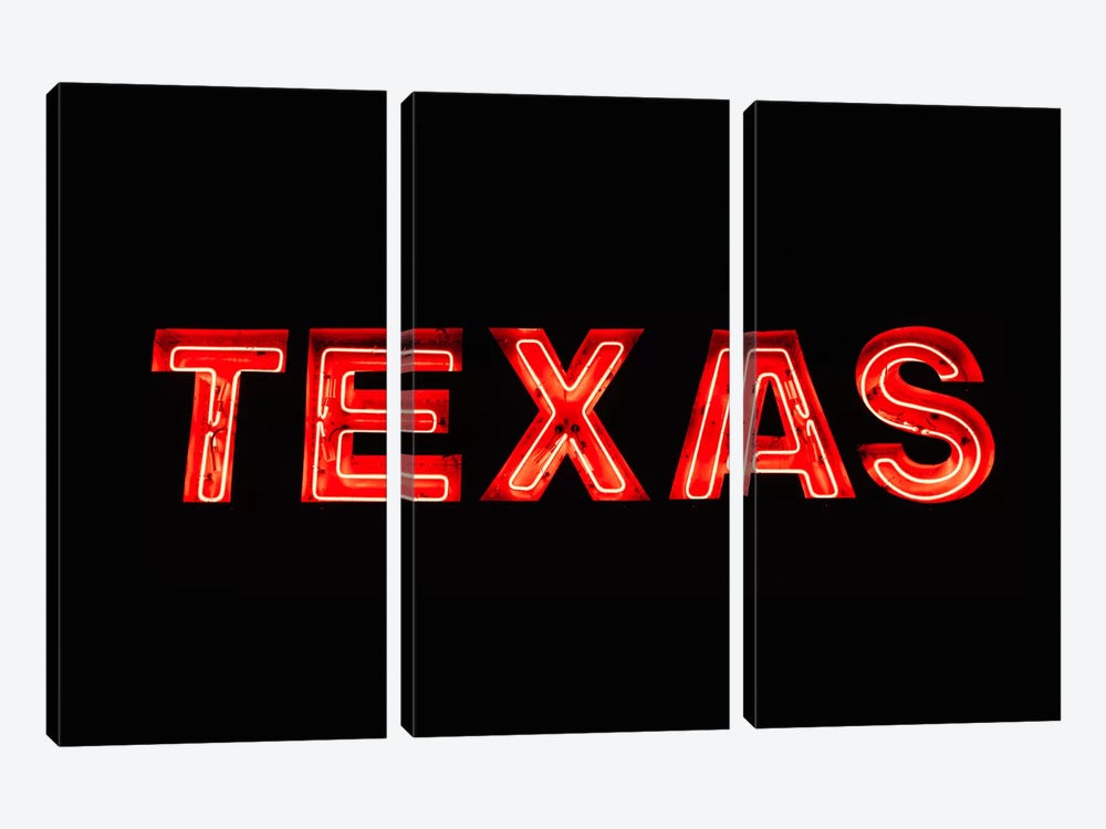 Texas Neon by Bethany Young 3-piece Art Print