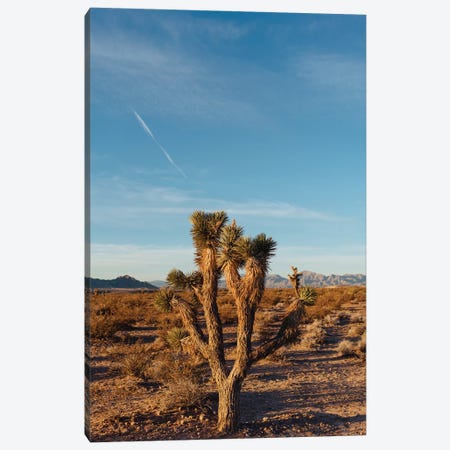 Nevada Desert Sunrise III Canvas Print #BTY1219} by Bethany Young Canvas Artwork