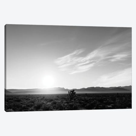 Nevada Desert Sunrise IV Canvas Print #BTY1220} by Bethany Young Art Print
