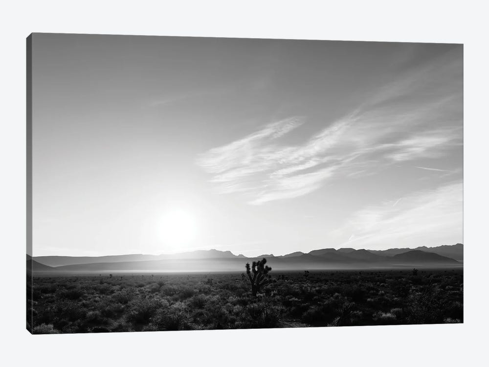 Nevada Desert Sunrise IV by Bethany Young 1-piece Canvas Art