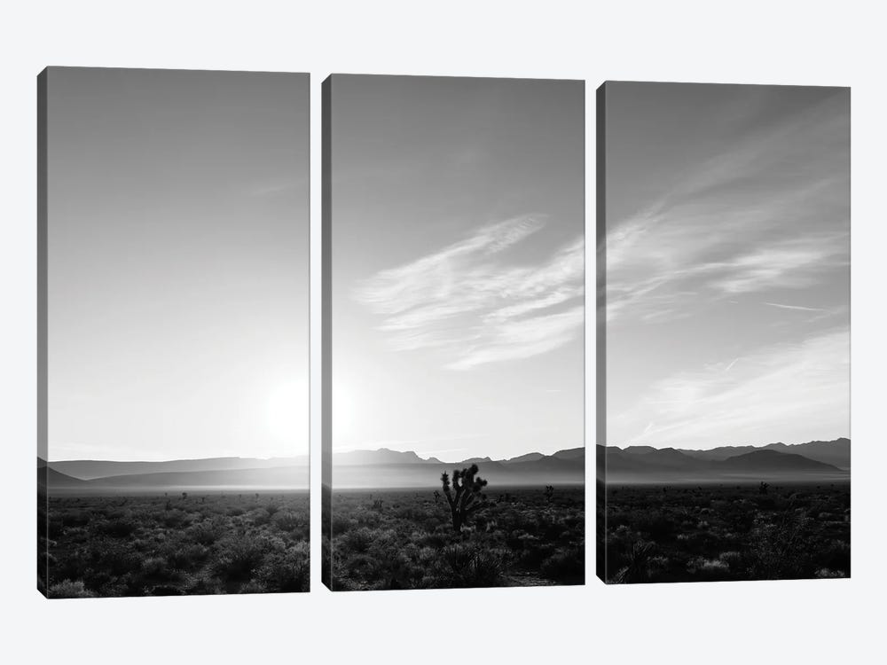 Nevada Desert Sunrise IV by Bethany Young 3-piece Canvas Wall Art