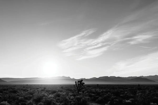 Nevada Desert Sunrise IV