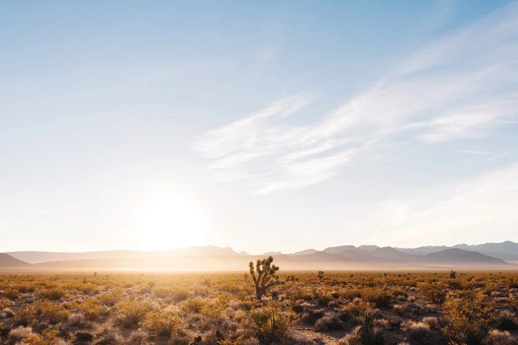 Nevada Desert Sunrise V