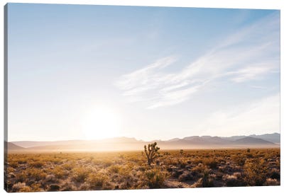 Nevada Desert Sunrise V Canvas Art Print - Desert Landscape Photography
