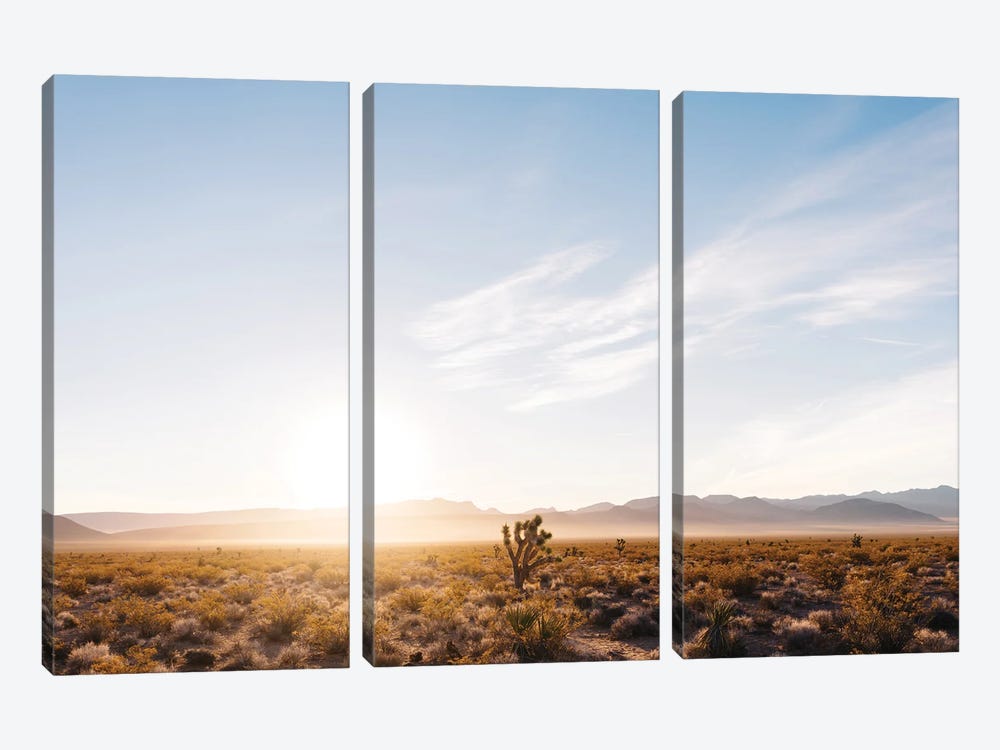 Nevada Desert Sunrise V by Bethany Young 3-piece Canvas Print