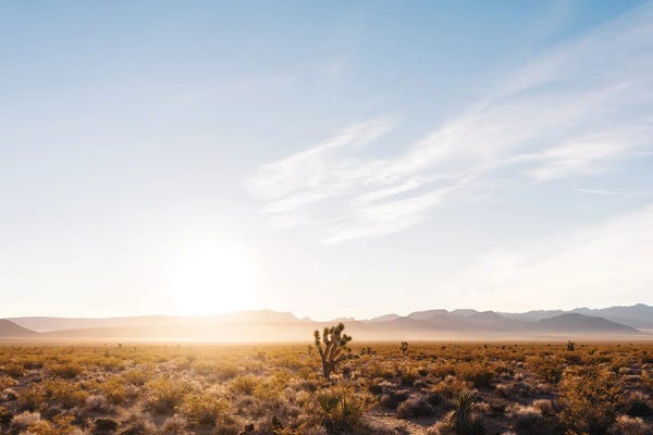 Nevada: Nevada Desert Sunrise V by Bethany Young
