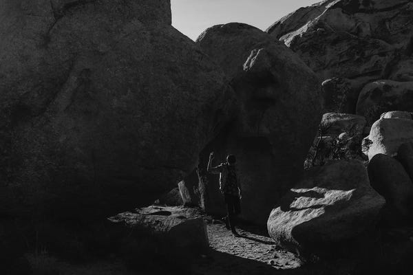 Joshua Tree National Park: Joshua Tree Explorer by Bethany Young