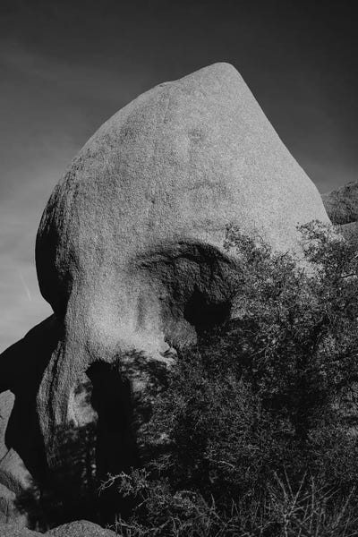 Joshua Tree National Park: Skull Rock III by Bethany Young