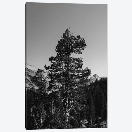 Olmsted Point, Yosemite National Park VI Canvas Print #BTY125} by Bethany Young Art Print
