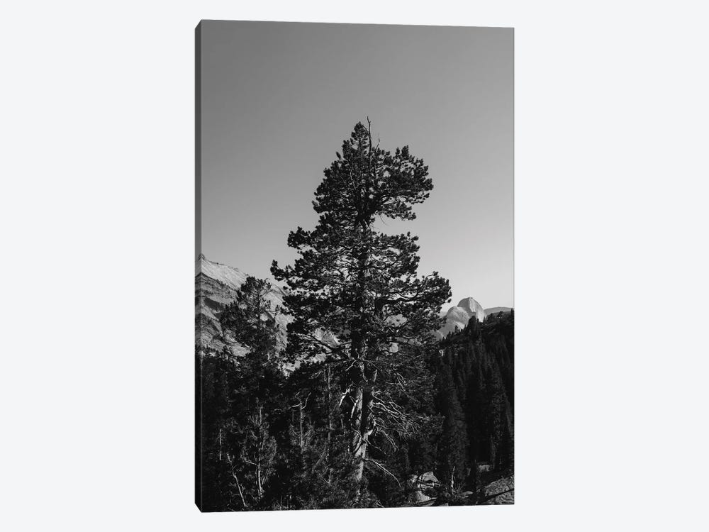 Olmsted Point, Yosemite National Park VI by Bethany Young 1-piece Canvas Art
