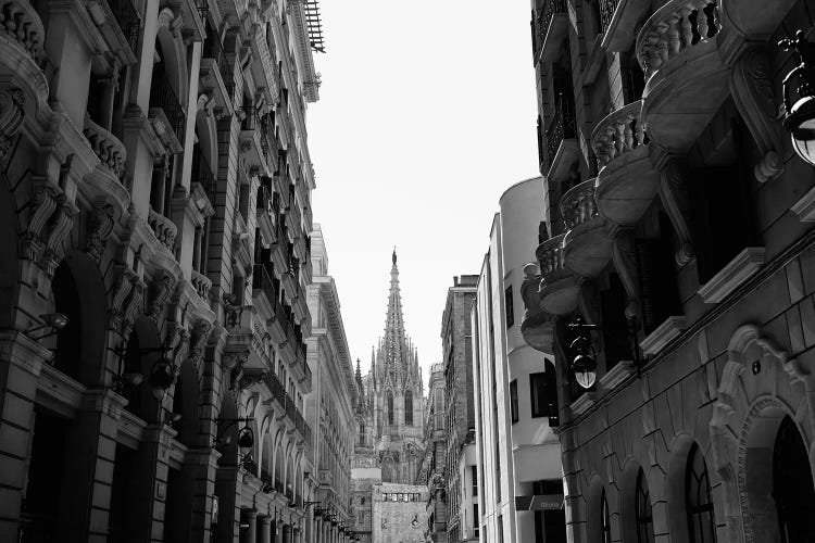 Cathedral of Barcelona