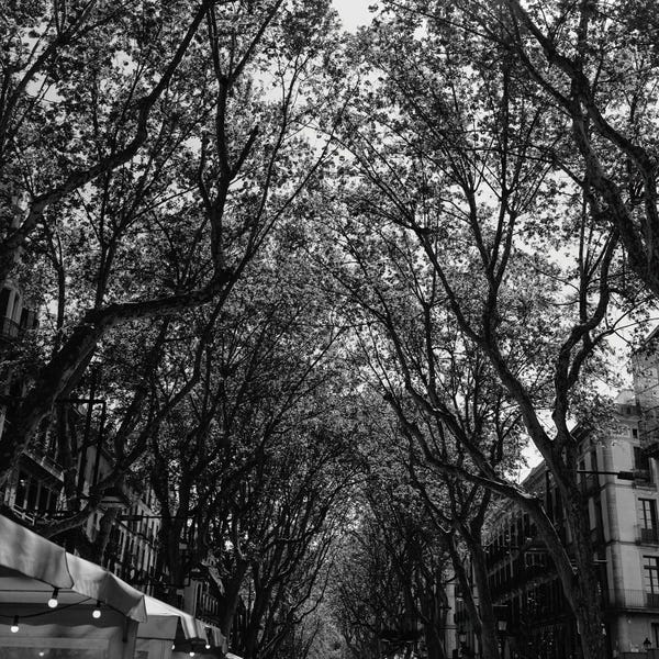 Catalonia: La Rambla by Bethany Young