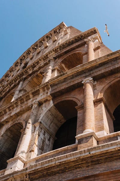 The Colosseum: Roman Coliseum II by Bethany Young