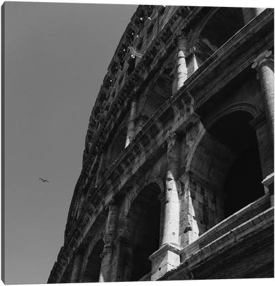 Roman Coliseum Canvas Art Print - The Colosseum
