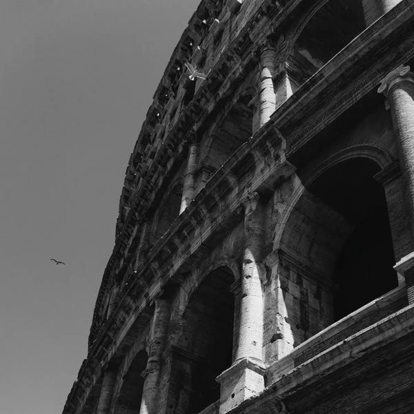 The Colosseum: Roman Coliseum by Bethany Young