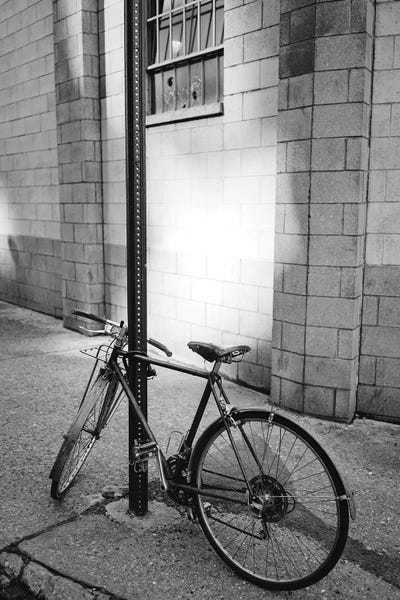 Brooklyn: Brooklyn Bike by Bethany Young