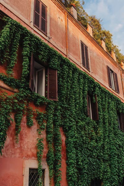 Lazio: Roman Architecture IX by Bethany Young