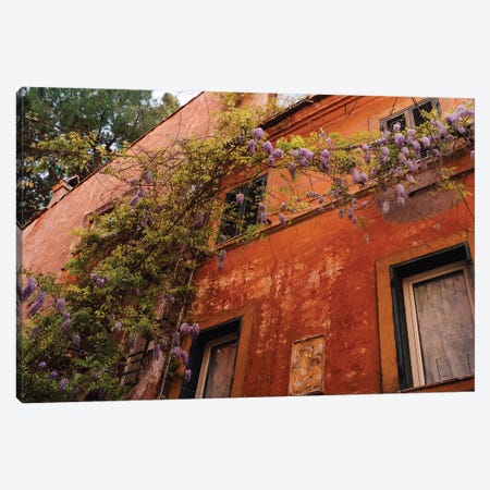 Wisteria in Rome III Canvas Print #BTY1295} by Bethany Young Canvas Art Print