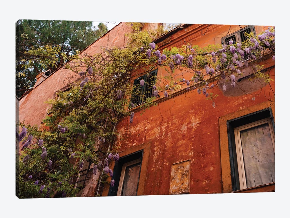 Wisteria in Rome III by Bethany Young 1-piece Canvas Art