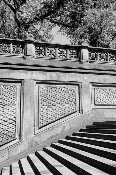 Central Park: Central Park IV by Bethany Young