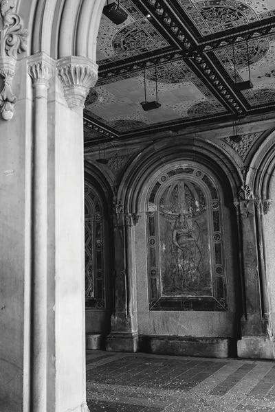 Central Park by Bethany Young acrylic art print