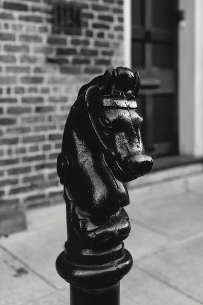 New Orleans: New Orleans Horse by Bethany Young