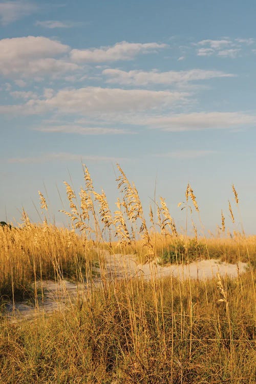 Hilton Head Island II