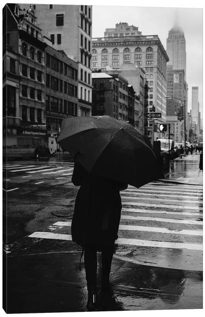 Rainy New York IX Canvas Art Print - Weather Art