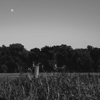 Summer Moon II by Bethany Young canvas print