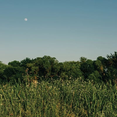 Summer Moon III by Bethany Young canvas print